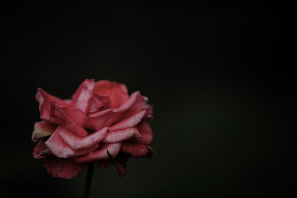 underexposed